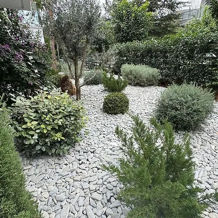 Quiet With Free Parking Apartment *